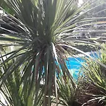 Casa Marilena 3* Тиволи